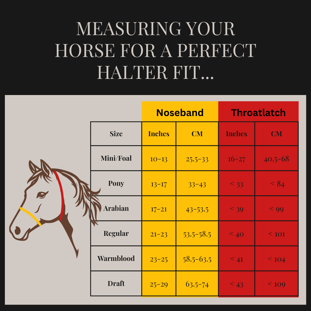 Rope Halter with Nose Band - REGULAR Size