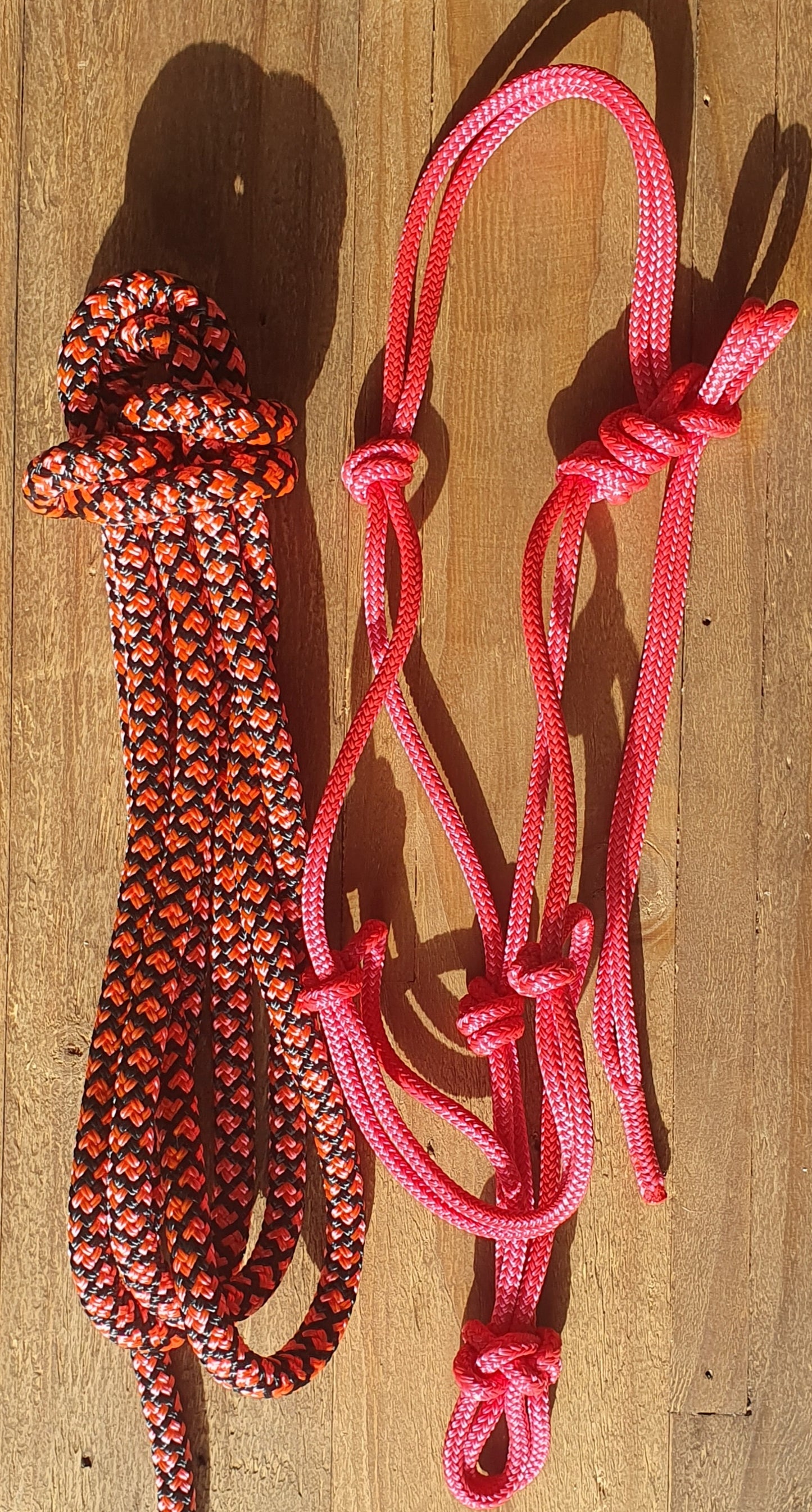 Rope Halter with Nose Band - REGULAR Size