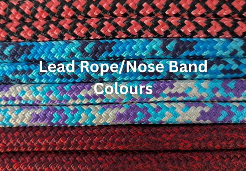 Rope Halter with Nose Band - REGULAR Size