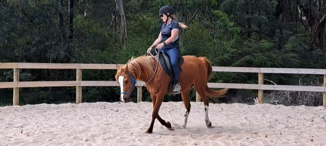 Person riding a brown horse on a sandy path with a wooden fence and trees in the background