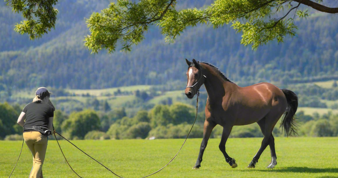 22ft Horsemanship Rope – For the Next Level of Connection