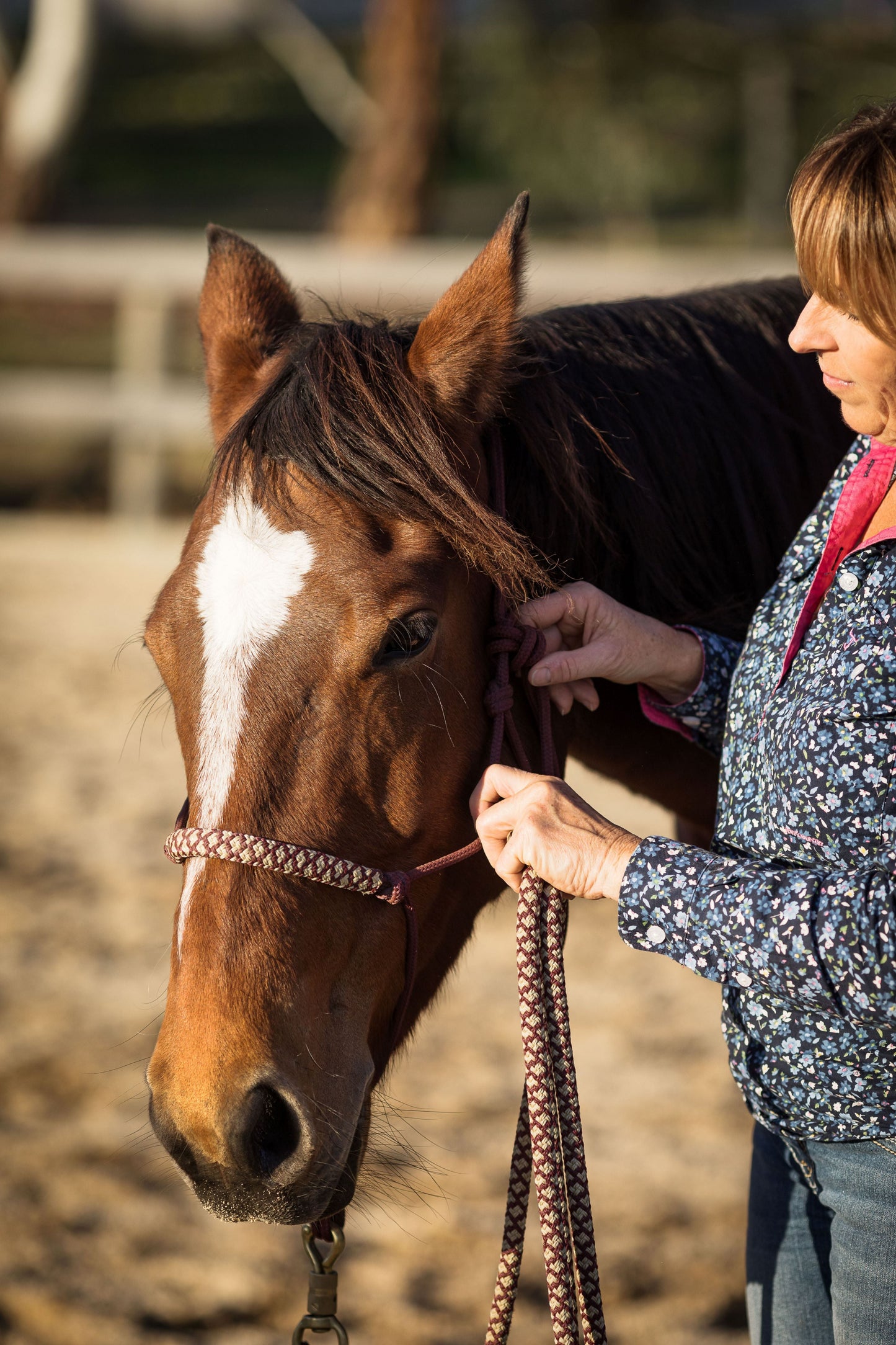 Rope Halter with Nose Band - REGULAR Size