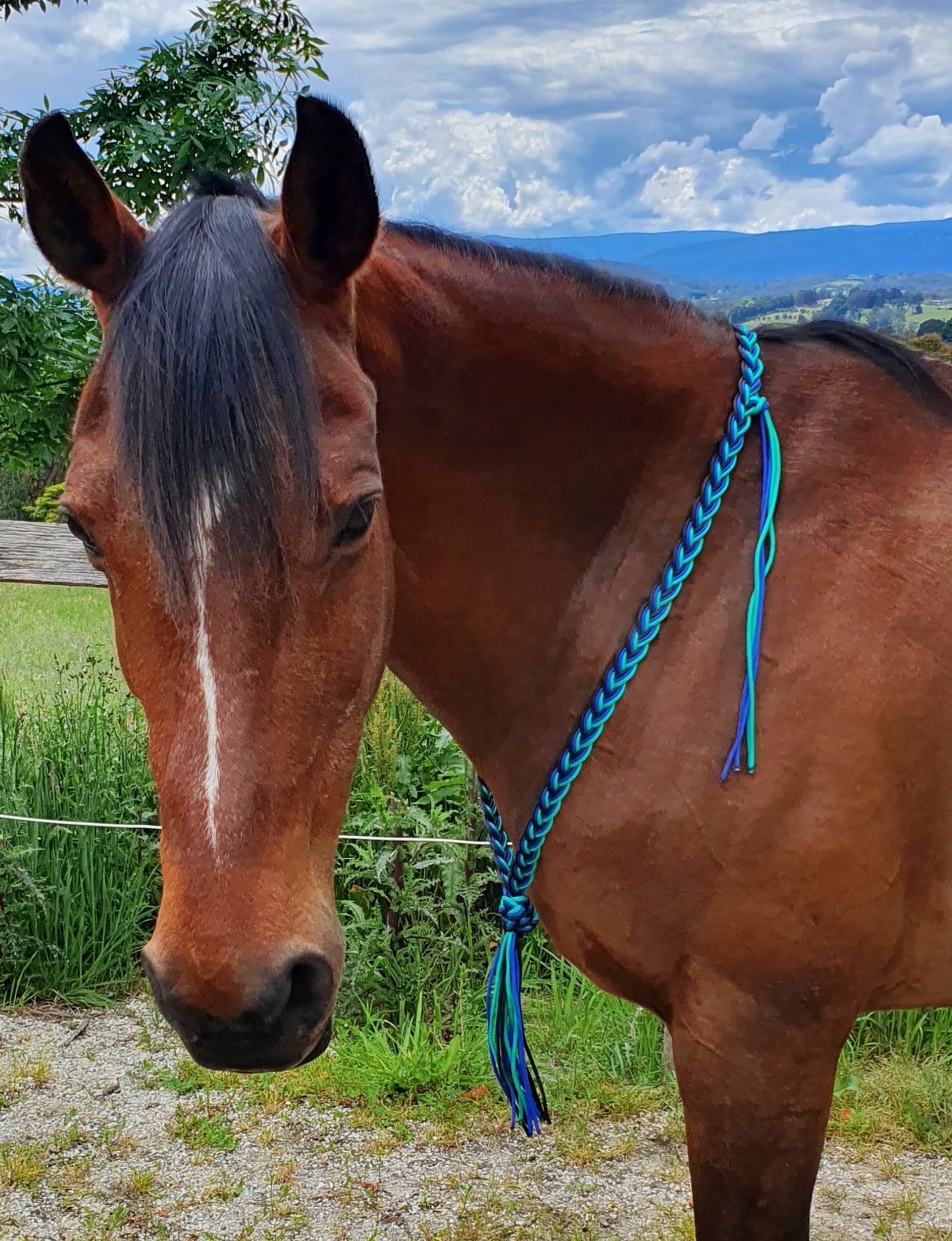 Plaited Neck Strap