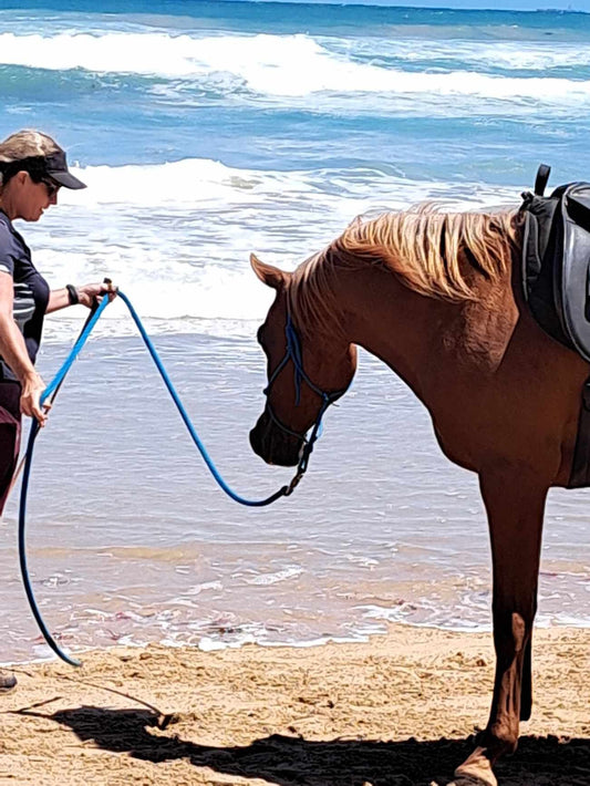 12ft Horsemanship Lead Rope