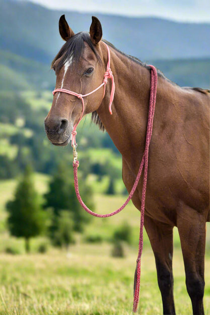Handmade Rope Halter (without Noseband)