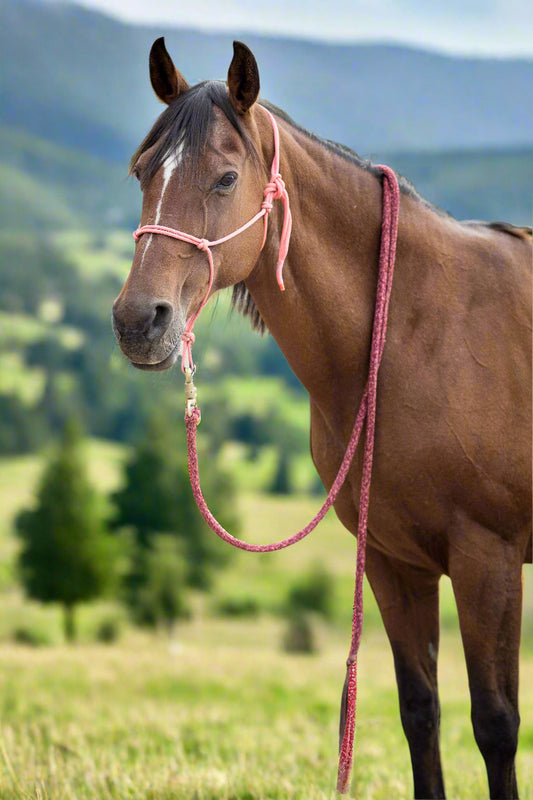 Handmade Rope Halter (without Noseband)