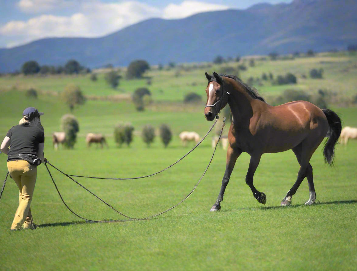 22ft Horsemanship Rope – For the Next Level of Connection