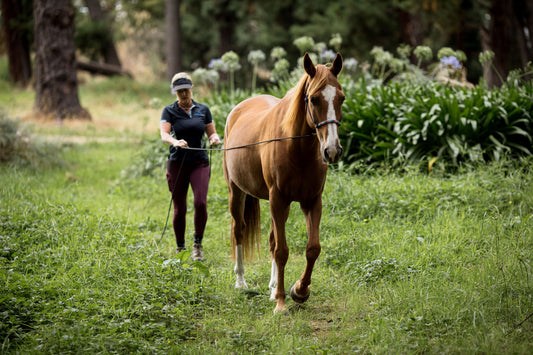 Ground Reins – 22ft Light Lines for Advanced Groundwork