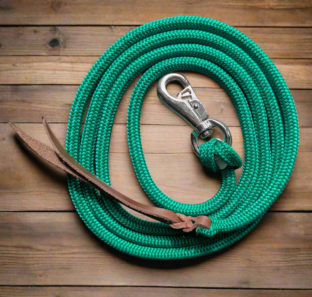 12ft Horsemanship Lead Rope