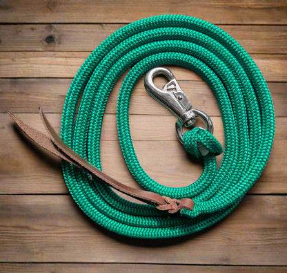 12ft Horsemanship Lead Rope