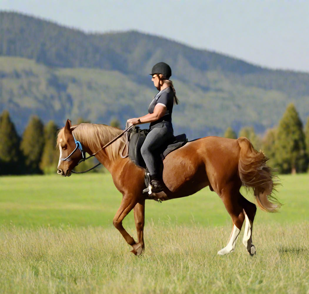 Premium Rope Reins