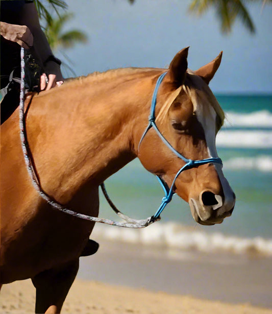 Premium Rope Reins