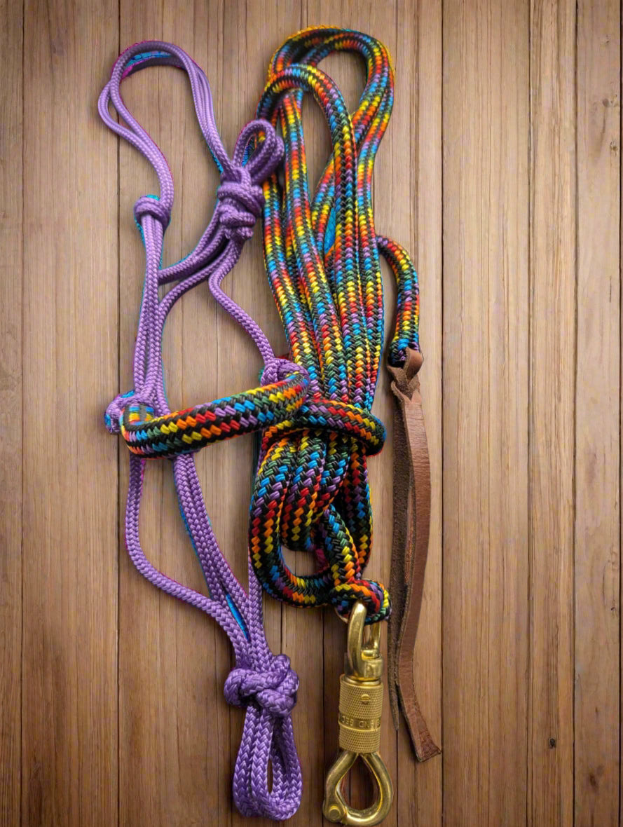 12ft Horsemanship Lead Rope