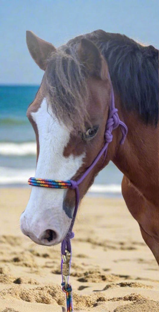 Rope Halter with Nose Band - PONY Size