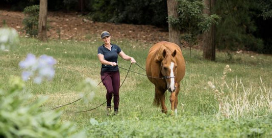 Horsemanship Training Sessions
