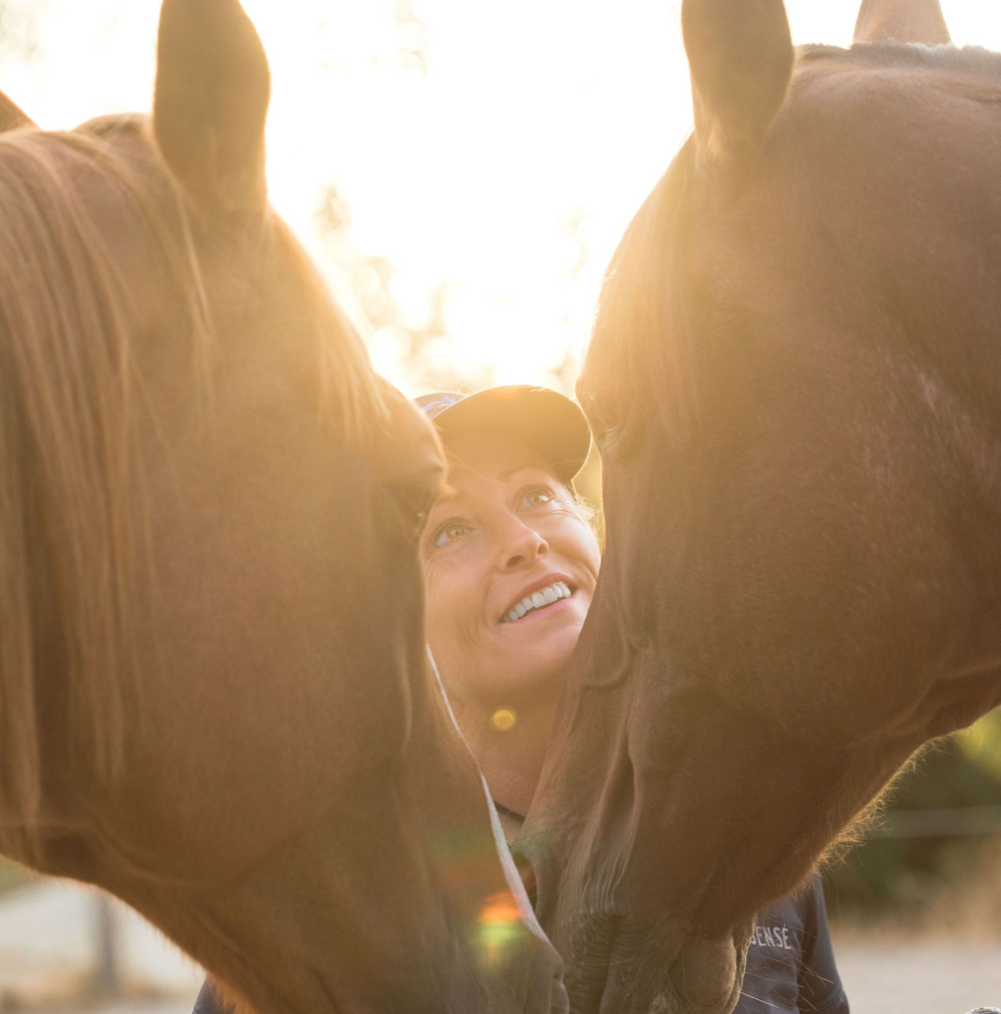 Equine Empowerment: Unleash Your Leadership and Confidence