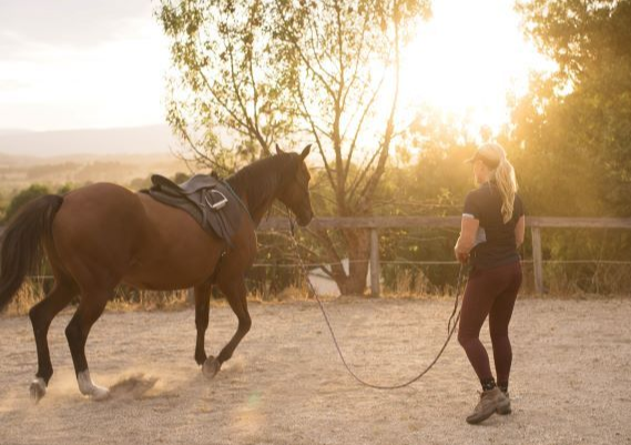 Horsemanship FUNdamentals