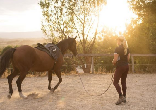 Horsemanship FUNdamentals