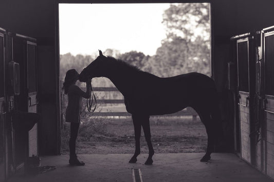 Equine Studies - Total Care